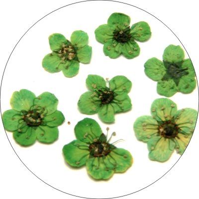 6dtz80trhpv1t8185osi333hmun05n72