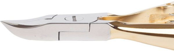 ty238baaz71npd9zqbrv0j1oddbikir4