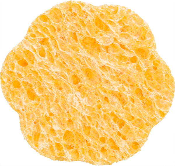 oxedfpj2r7l6sf42vjvw9g81bdv61cju