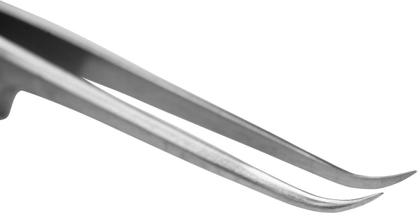 n9chxhfrsxii204a3b8izklb4tp62lwz