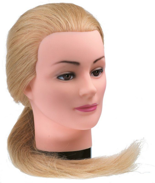 a2zu0vozpb657kak3pjzgt6r79gwlpcj