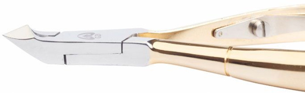 wy2kxw2w0tbxrmue5c3rm58g6ym86r8c