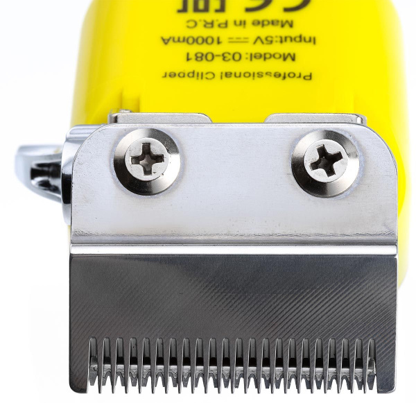 ziahx27bytx2ekd2dn209w5x359kisp0